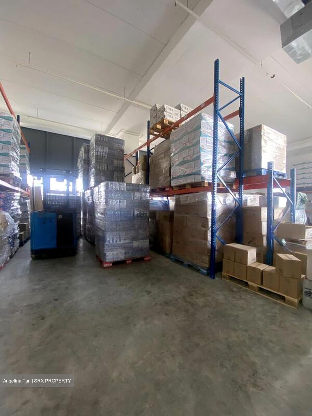 REVV (D22), Factory #570466251